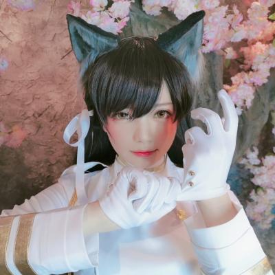 od官方入口appv8.5.6.2 官方正式版 0